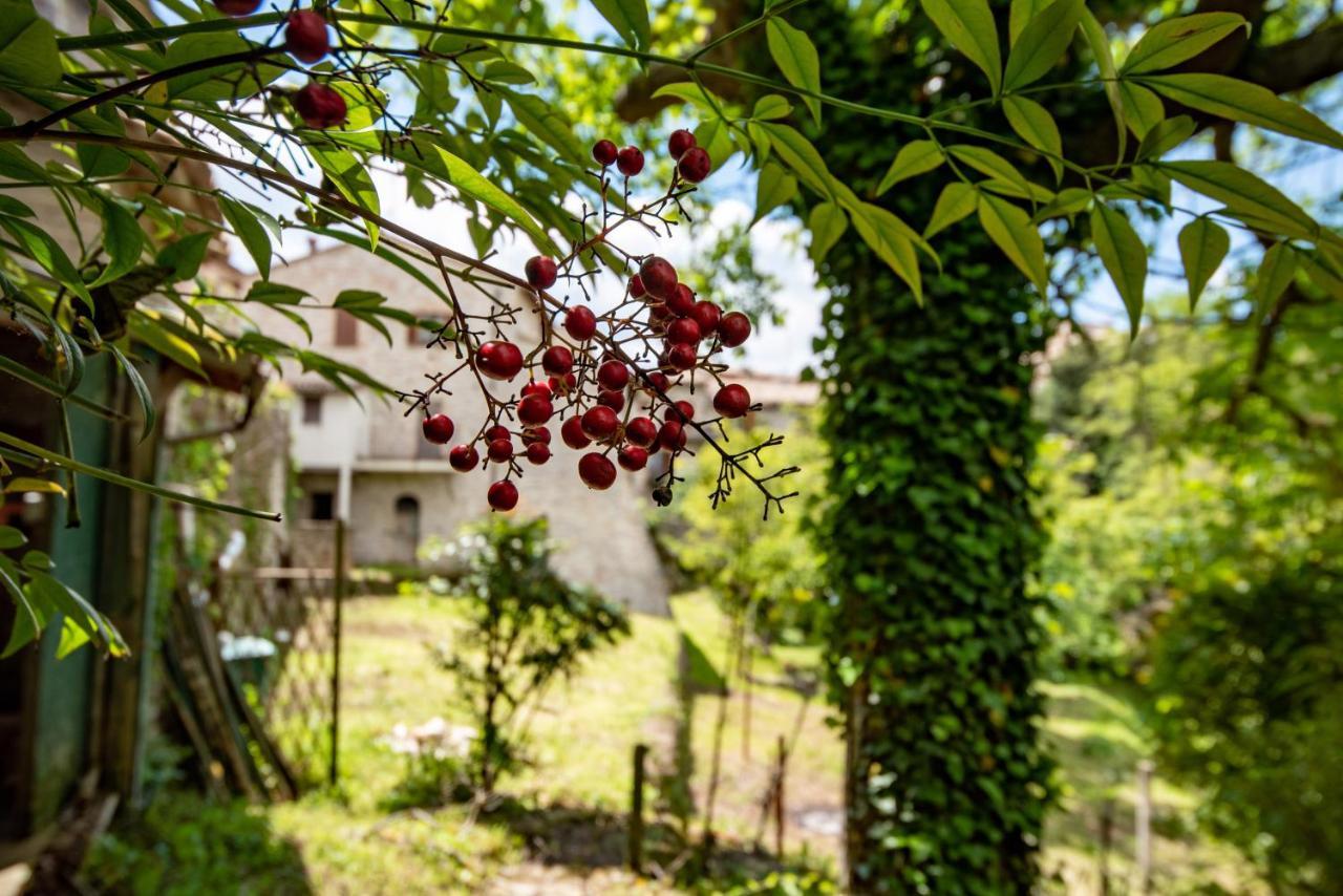 Perfetta Letizia Casa Vacanza Assisi Exterior foto