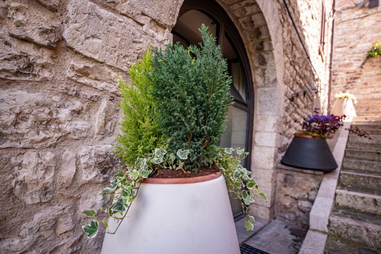 Perfetta Letizia Casa Vacanza Apartment Assisi Exterior foto